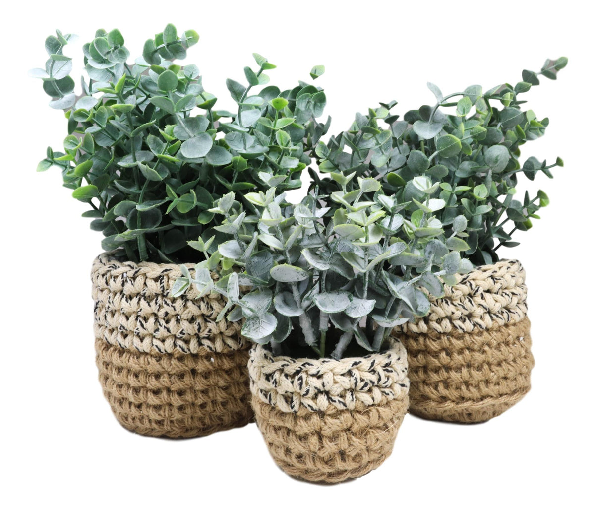 Set Of 3 Realistic Artificial Botanica Fern Eucalyptus Plant In Chic Woven Pots