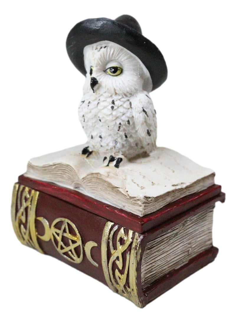 White Snow Owl With Witch Hat Sitting On Triple Moon Spell Book Trinket Box