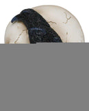 Poe's Raven Nevermore Skull Masque Ornament On Pole Stand Or Wall Sculpture