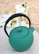 Pastel Green Minimalistic Tilted Round Cast Iron Teapot 28oz Tea Pot With Handle