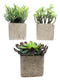 Set Of 3 Realistic Lifelike Artificial Botanica Succulents In Square Pots 6"H