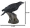 Ebros Large 14" Long Gothic Raven Crow Perching On Tree Stump Statue Figurine