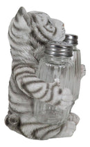 Forest Jungle White Bengal Tiger Cub Hugging Salt And Pepper Shakers Holder Set