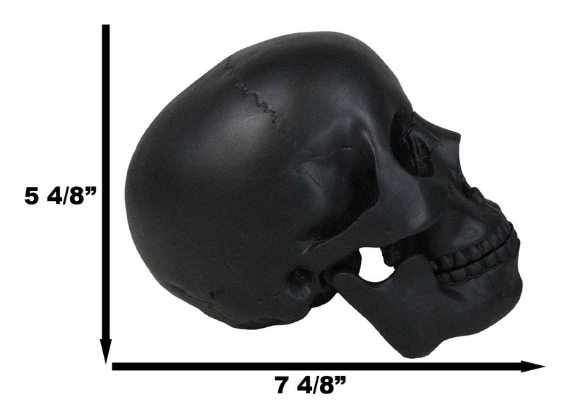 Macabre Goth Ghost Black Homosapien Replica Skull With Movable Jaw Bone Figurine