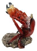Ocean Marine Giant Stone Anthropod Crab With Black Claws Wine Bottle Holder