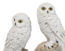Tundra Forest Snow White Owls Couple Perching On Tree Branch Figurine 4.75"H
