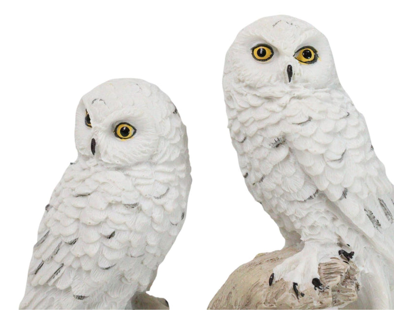 Tundra Forest Snow White Owls Couple Perching On Tree Branch Figurine 4.75"H