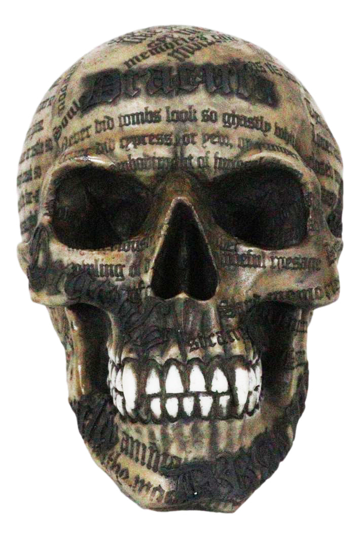 Vampire Dracula Tale Sacred Bram Stokers Novel Skull Figurine Skeleton Macabre