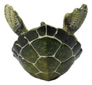 Nautical Marine Playful Green Shelled Sea Turtle On Back Flip Cell Phone Holder