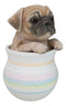 Realistic Puggy Pug Puppy Dog Figurine With Glass Eyes Pup In Pot Collection