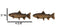 Set Of 2 Western Nautical Marine Trout Fish Faux Wooden Cabinet Bar Pull Knobs