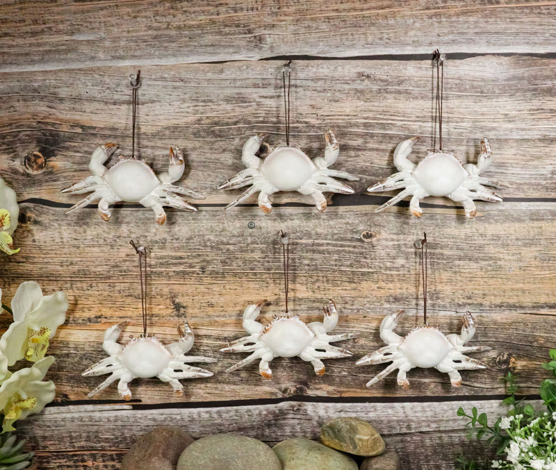 Set Of 6 Antique White Beach Crabs Ocean Marine Wall Hanger Decor Tree Ornaments