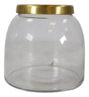 Set of 3 Clear Glass Canister Make Up Seashells Sand Storage Jars With Gold Lids