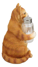 Ebros Orange Tabby Kitty Cat Hugging Spice Salt Pepper Shakers Holder 8.25"H