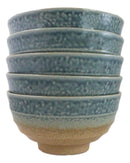 Pack Of 5 Blue River Ao Nagashi Medium Soup Salad Rice Donburi Poke Bowls 24oz