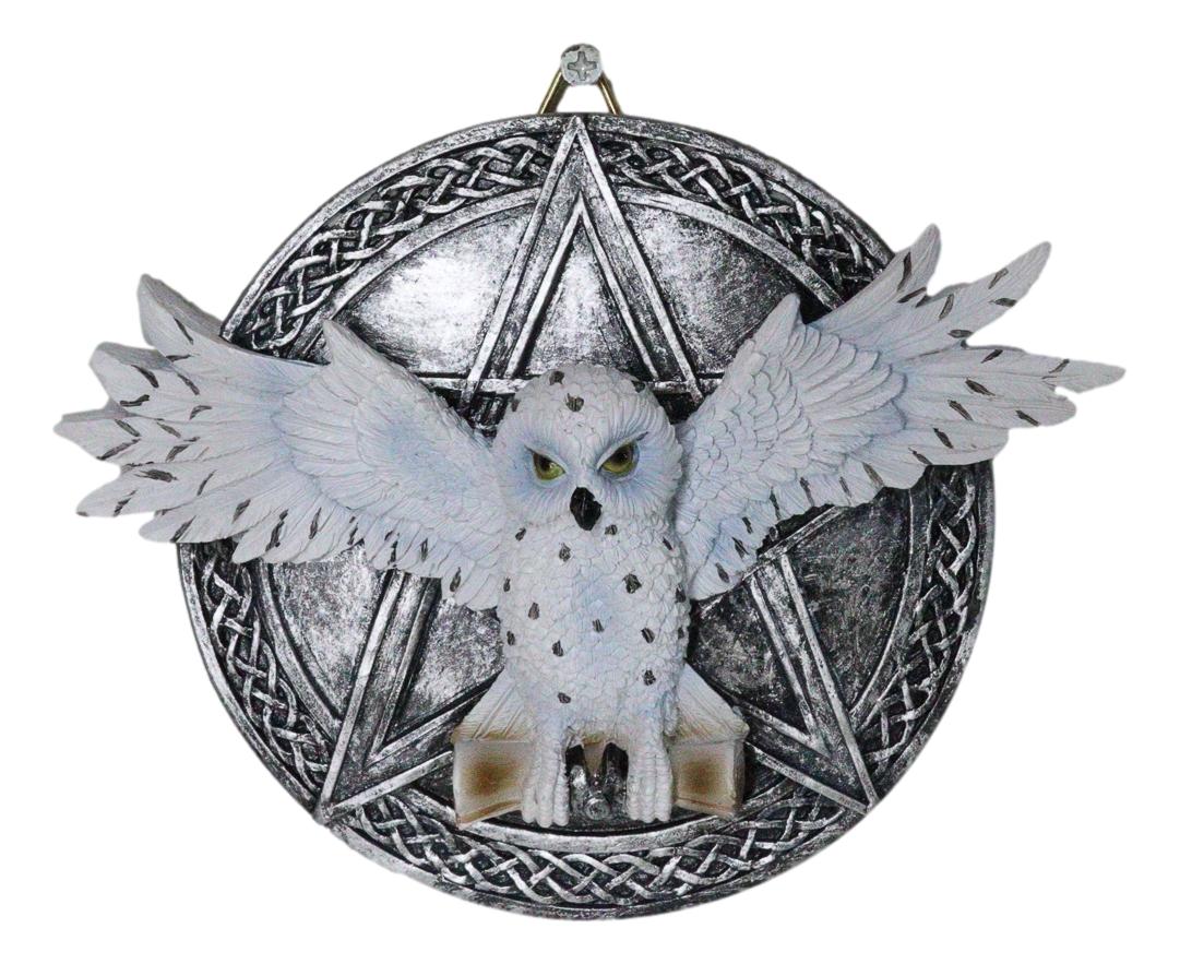 Wiccan Witch White Snowy Owl 3D Wall Plaque With Pentagram & Celtic Knotwork