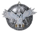 Wiccan Witch White Snowy Owl 3D Wall Plaque With Pentagram & Celtic Knotwork