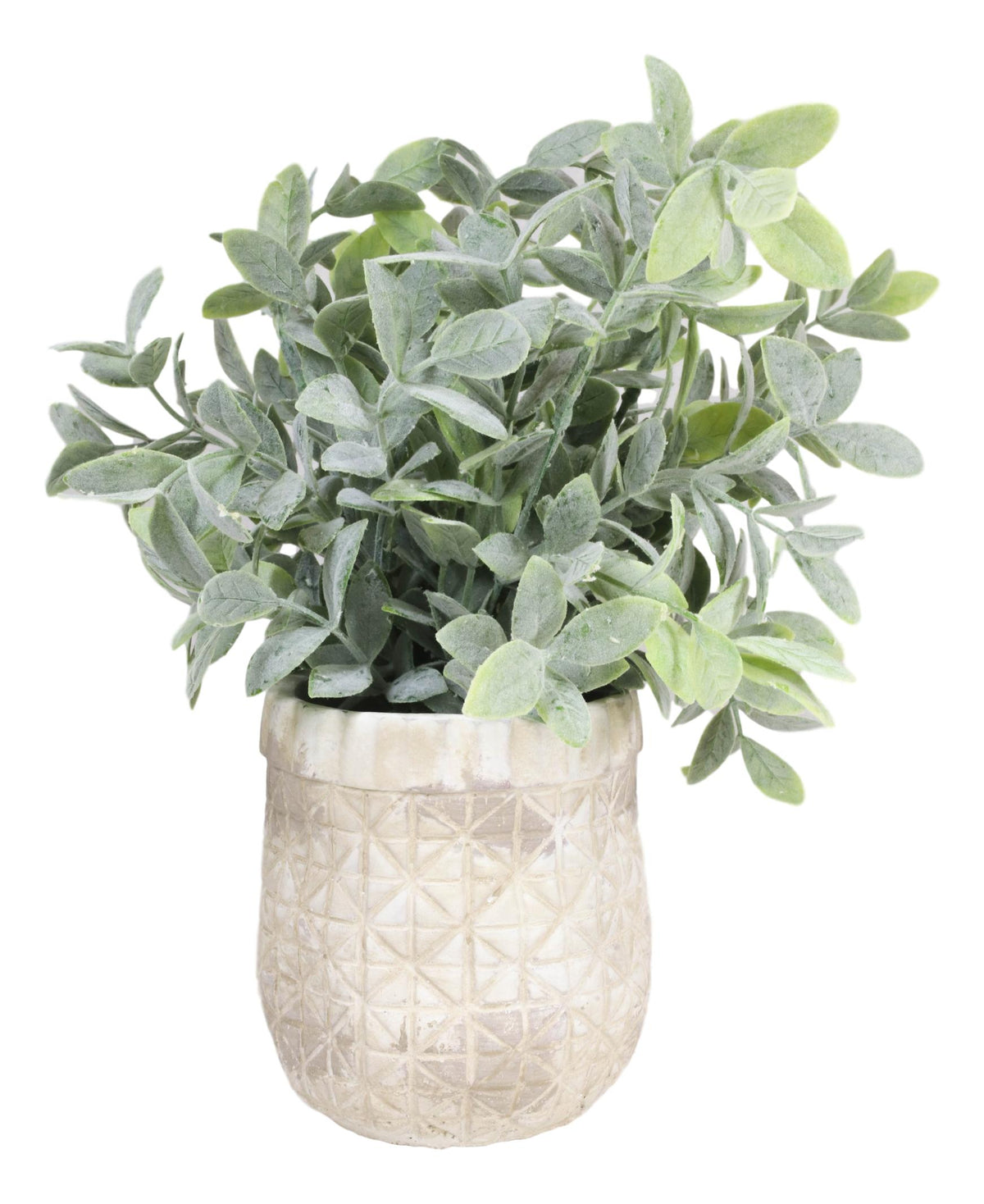 Realistic Artificial Botanica Sage Bush Faux Plant Fern In Patterned Pot 10"H