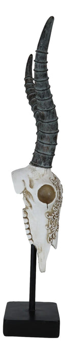 Vintage Tribal Knotwork African Antelope Skull On Museum Pole Mount Base Statue
