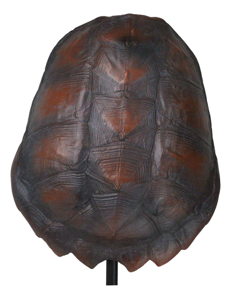 Nautical Marine Faux Alligator Snapping Turtle Shell Sculpture With Pole Stand