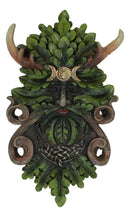 Nature Spirit God Celtic Greenman Tree Ent Canopy Hanging Wall Decor Plaque