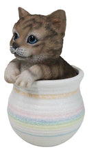 Lifelike Feline Kitty Brown Tabby Cat Blue Eyes In Pastel Artsy Pot Figurine