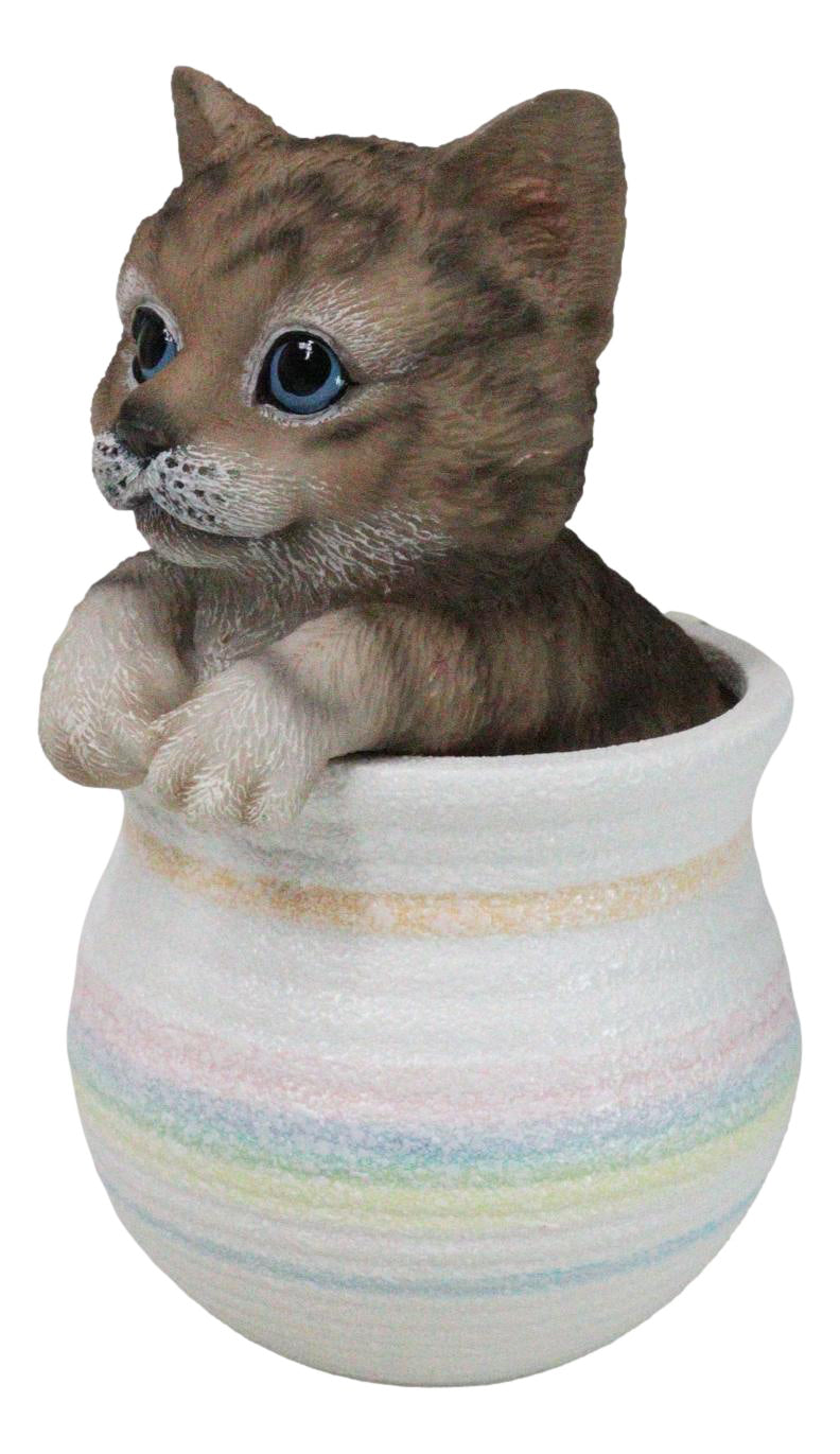 Lifelike Feline Kitty Brown Tabby Cat Blue Eyes In Pastel Artsy Pot Figurine