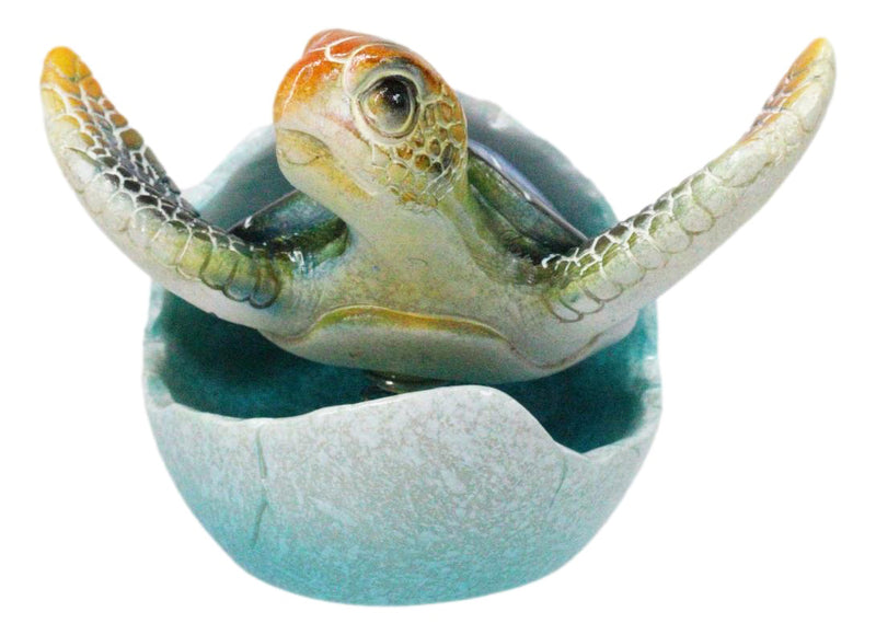 Blue Nautical Marine Sea Turtle Hatchling Emerging Out of Egg Mini Figurine