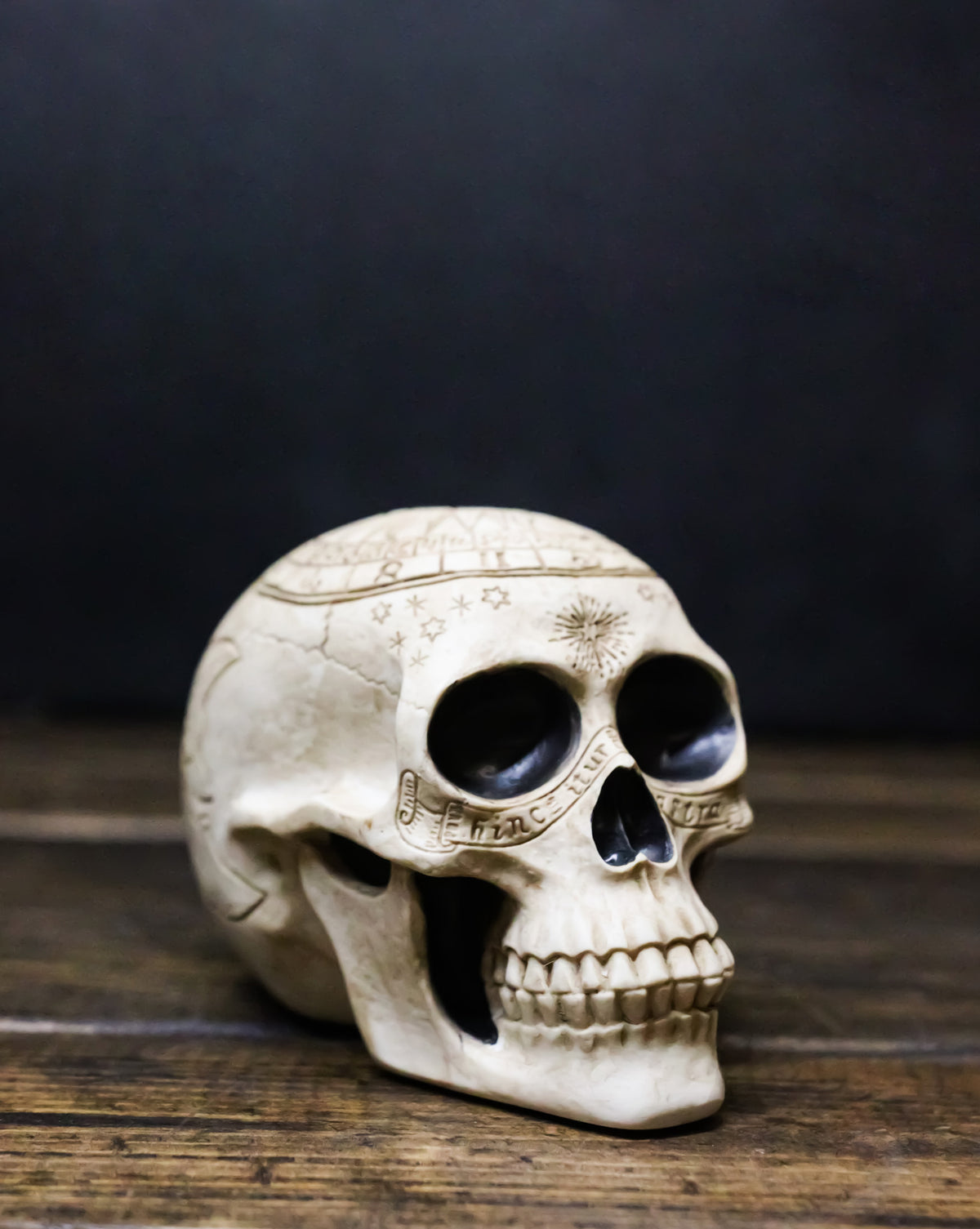 Ebros Gift Astrology Zodiac Skull Figurine Celestial Occult Gothic Decor