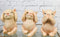 Rustic Country Hog Heavens See Hear Speak No Evil Piglet Pigs Figurines Set