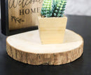 Pack Of 4 Unfinished Natural Wood Slices With Bark 8.25"D DIY Arts And Crafts