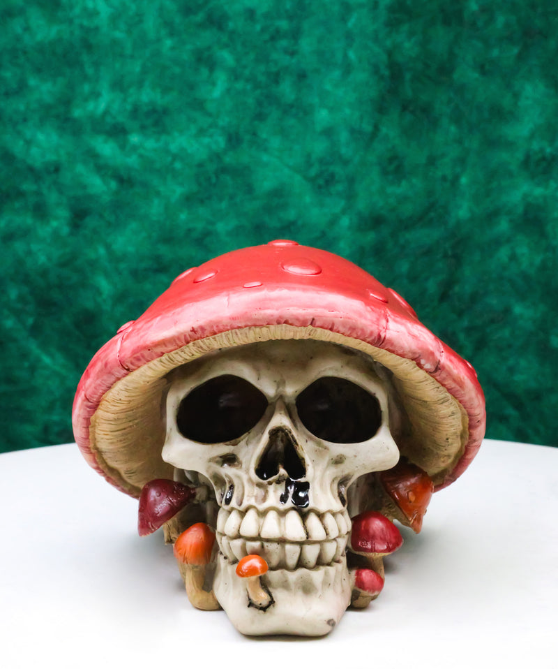 Red Macabre Toadstool Mushroom Cap Skull With Mini Fungi Figurine 5" L