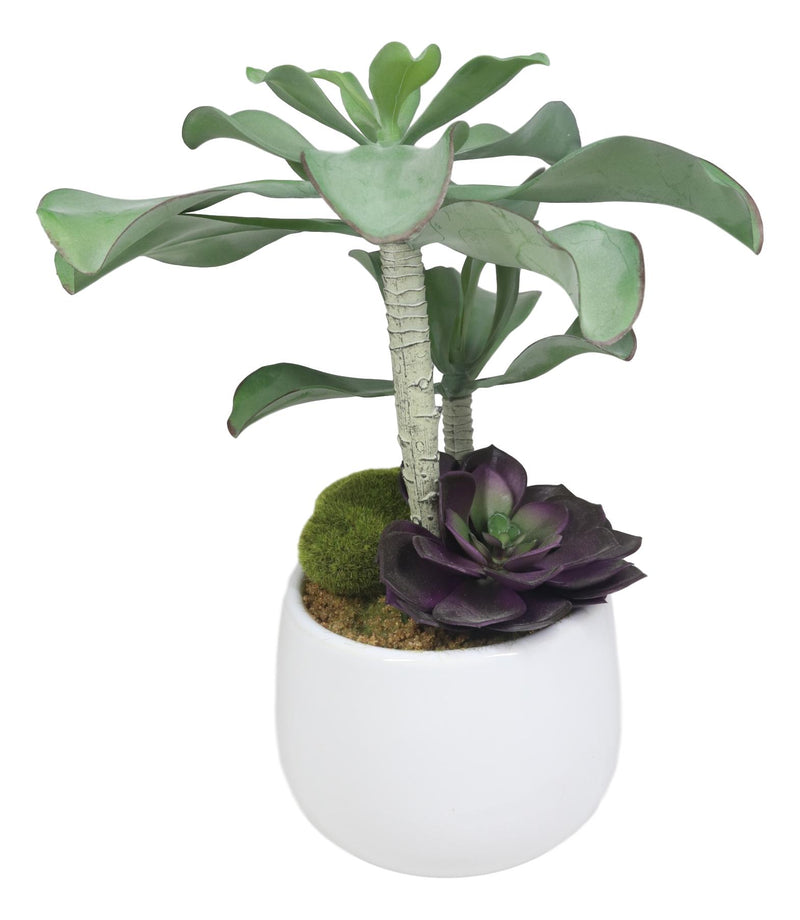 mini faux succulents in pots Set Of 5 Realistic Artificial Faux Botanica Succulents In Ceramic Mini– Ebros Gift