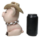 Rustic Western Comical Sitting Pig with Turquoise Cowboy Hat and Scarf Figurine
