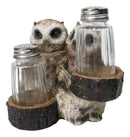 Owl Lovers Couple Salt and Pepper Shaker Holder with Glass Shakers Figurine