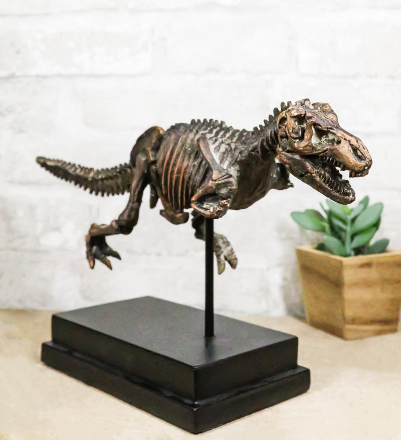 Jurassic T-Rex Tyrannosaurus Rex Dinosaur Fossil Skeleton Statue On Base Stand