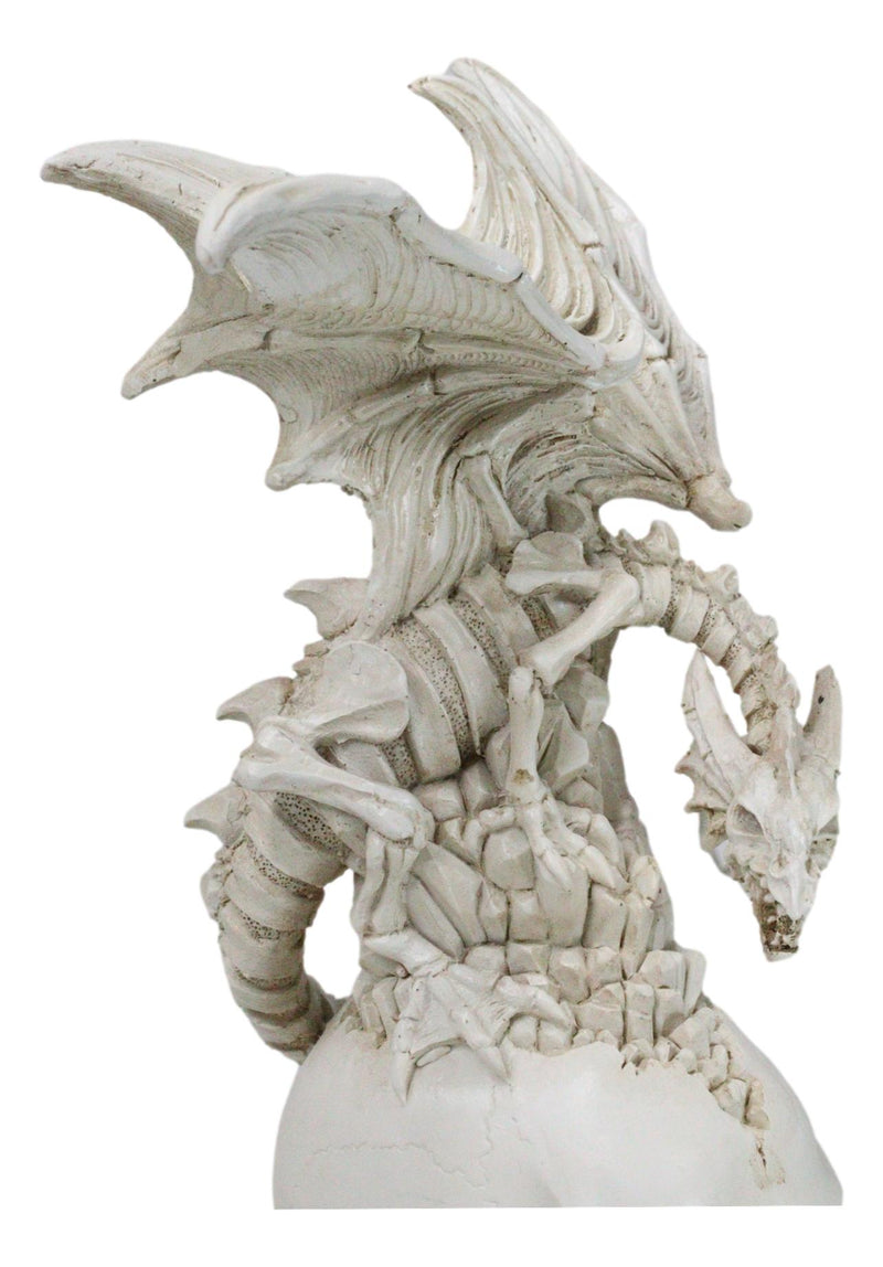 Ossuary Macabre Skeleton Bone Dragon Perching On Gothic White Skull Figurine