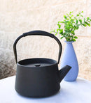 Black Modern Straight Edge Design Tetsubin Larger Cast Iron Teapot 33oz