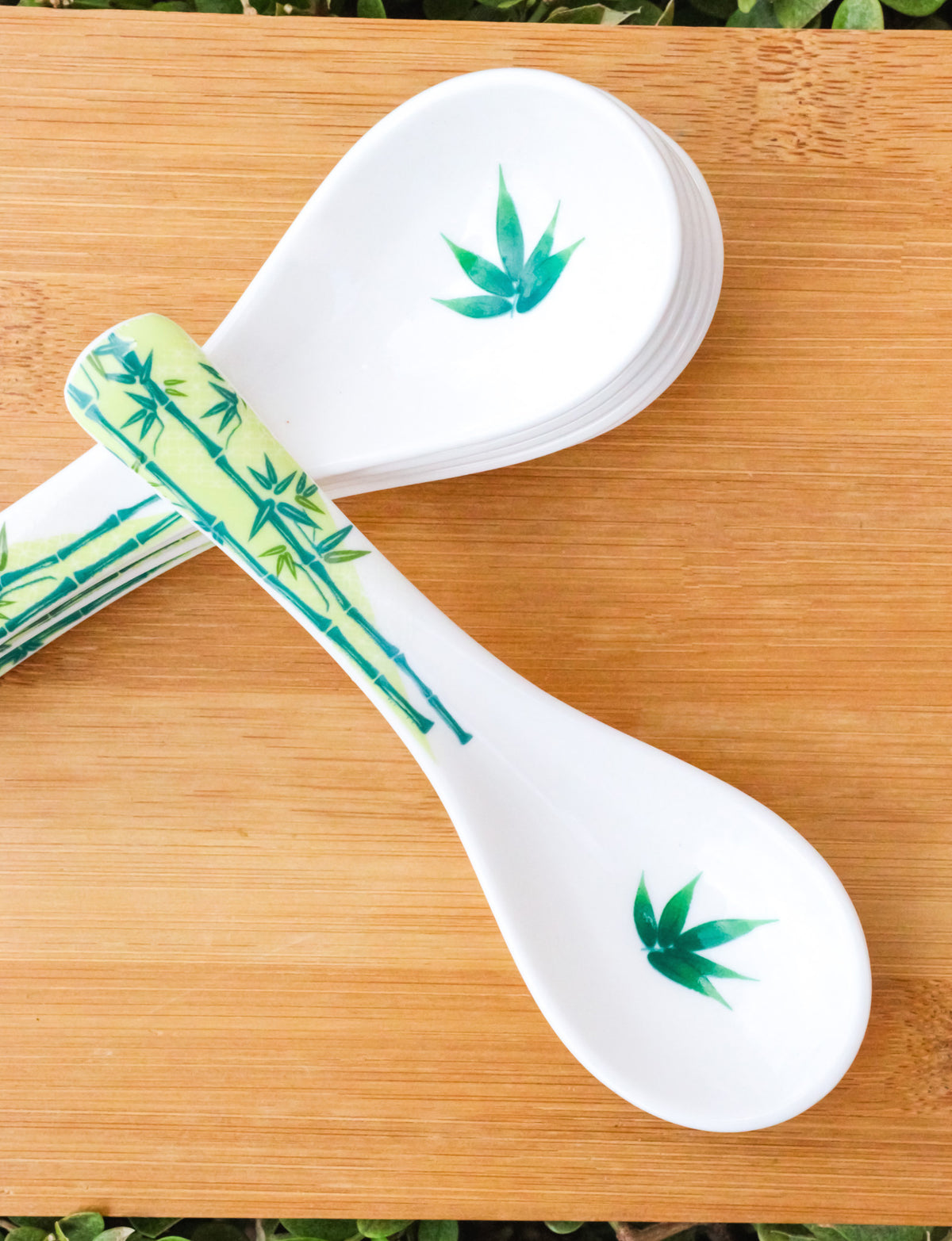 Set of 6 Green Bamboo Porcelain Asian Soup Spoons Japanese Ramen Pho Wonton