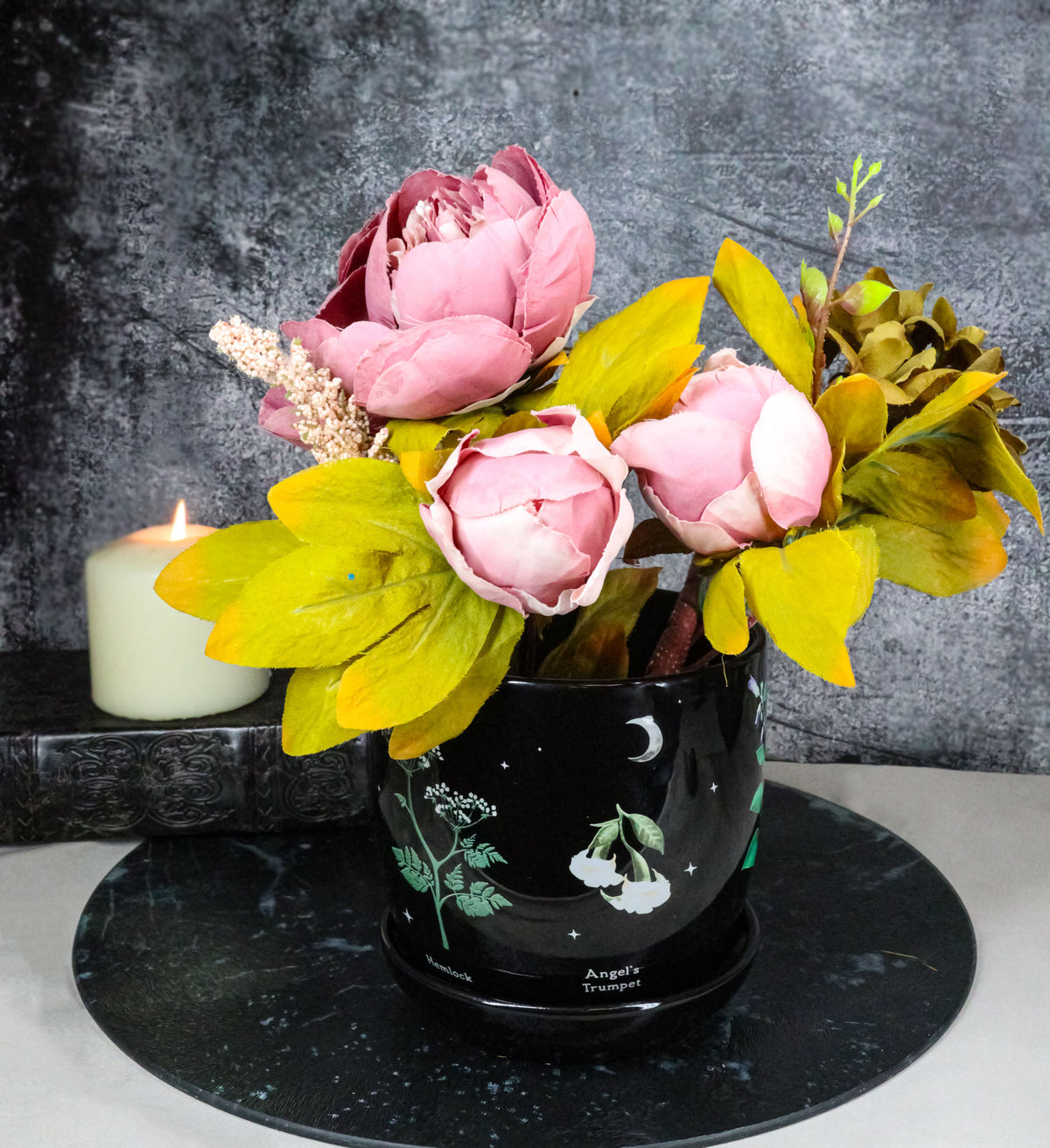 Witchcraft Magic Dark Forest Poisonous Plants Ceramic Planter Pot W/ Saucer Set