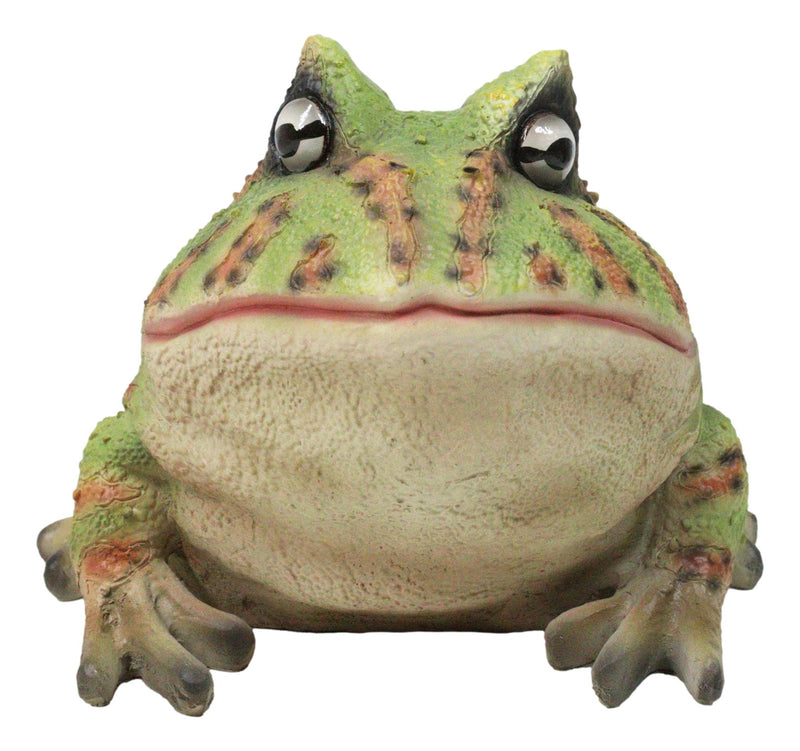 Amphibian Wildlife Realistic Green Bullfrog Frog In Stoic Posture Figurine 7"L