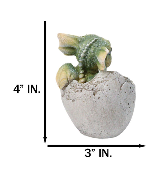 Adorable Green Baby Dragon Hatchling Cracking Out of Egg Shell Figurine 4"H