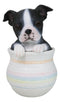 Black White Tuxedo Boston Terrier Puppy Dog Figurine With Glass Eyes Pup In Pot