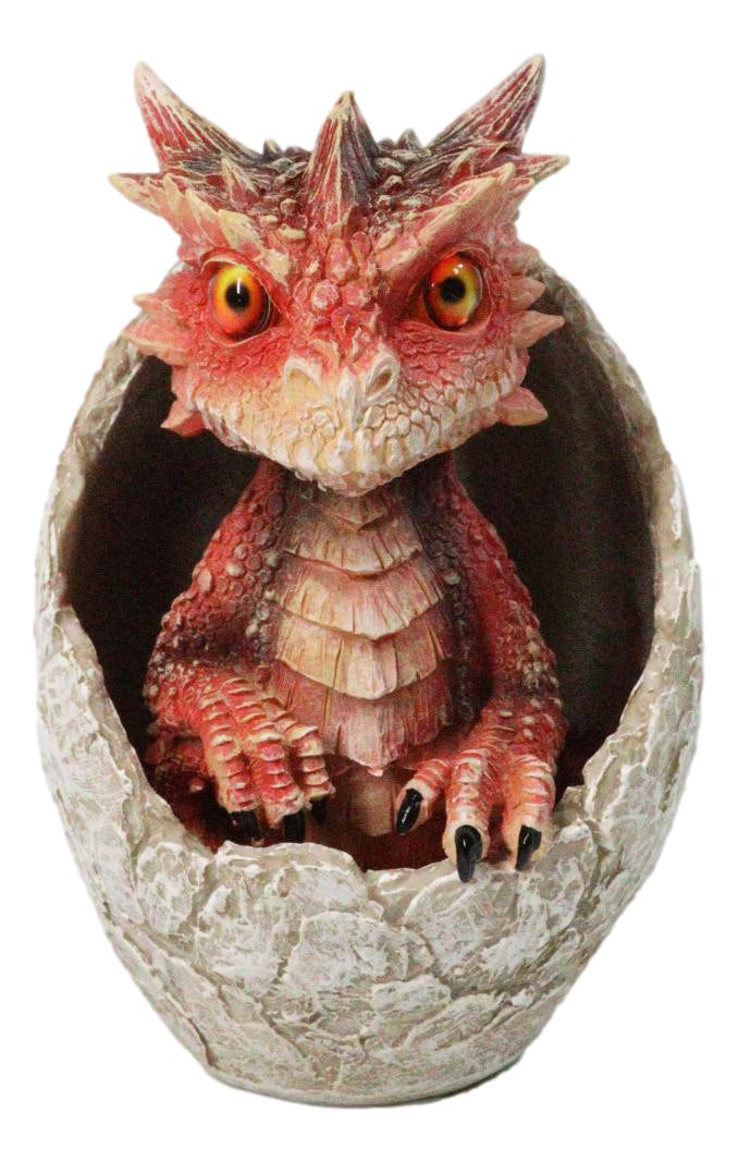 Ebros Red Ember Fire Dragon Baby Hatchling in Cracked Egg Fantasy Figurine