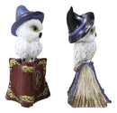Pack Of 2 Witchcraft Spell Witch Snow Owls On Pentagram Spellbooks Figurine