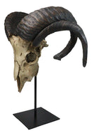 Large Alien Mutated Quad Horns Ram Skull Head Sculpture On Museum Stand 16.25"H