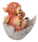 Adorable Orange Baby Dragon Hatchling Cracking Out of Egg Shell Figurine 4"H