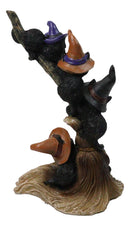 Halloween 5 Black Kitten Cats with Witch Hats Perching On Broomstick Figurine