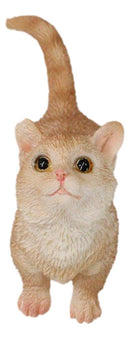 Realistic Curious Feline Orange Tabby Munchkin Cat Kitten Mini Figurine