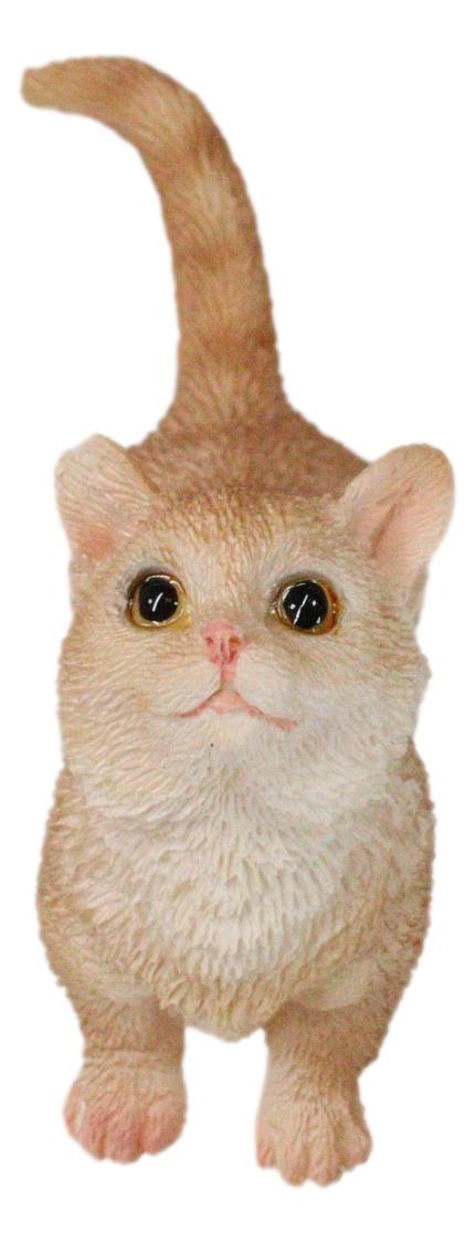 Realistic Curious Feline Orange Tabby Munchkin Cat Kitten Mini Figurine